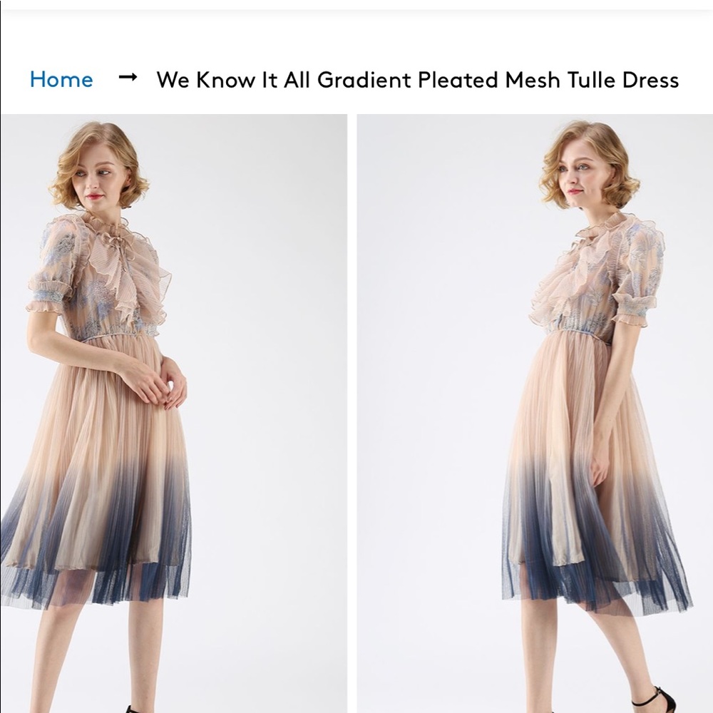Chicwish gradient plates tulle dress XS
